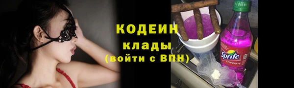 метадон Елизово