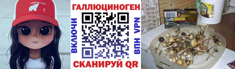 наркотики  Городец  Псилоцибиновые грибы прущие грибы 