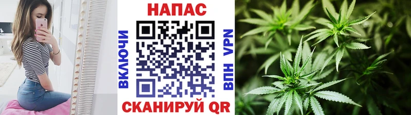 наркота  Городец  ОМГ ОМГ   Канабис марихуана 